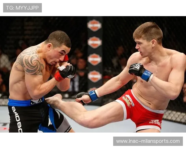 UFC顶级对决激烈，拳手技术与毅力并存，ufcd