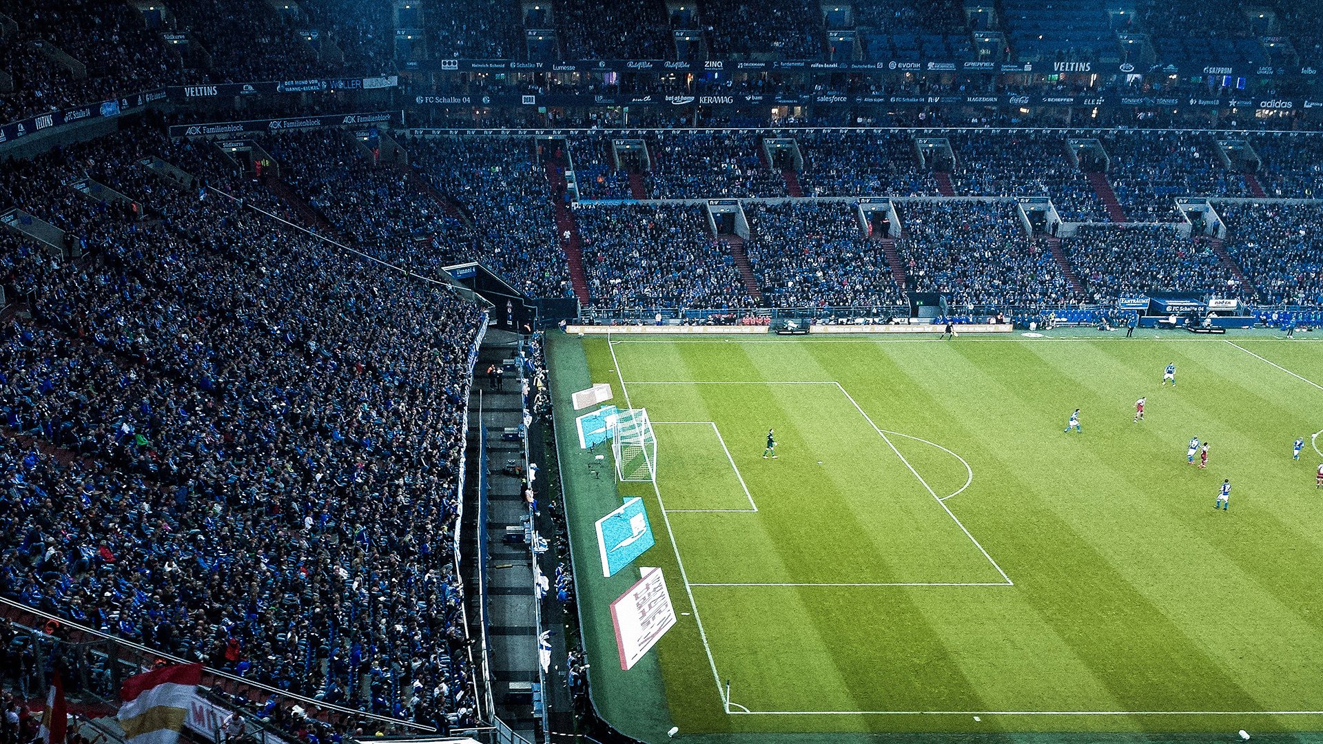 “新加坡泳池激战!2025世界游泳锦标赛精彩开幕”